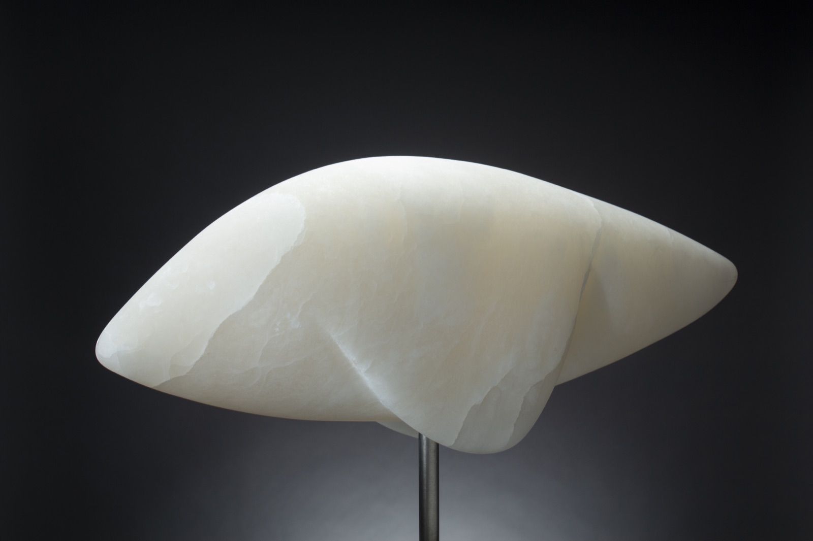 Drooping Fins — primary view