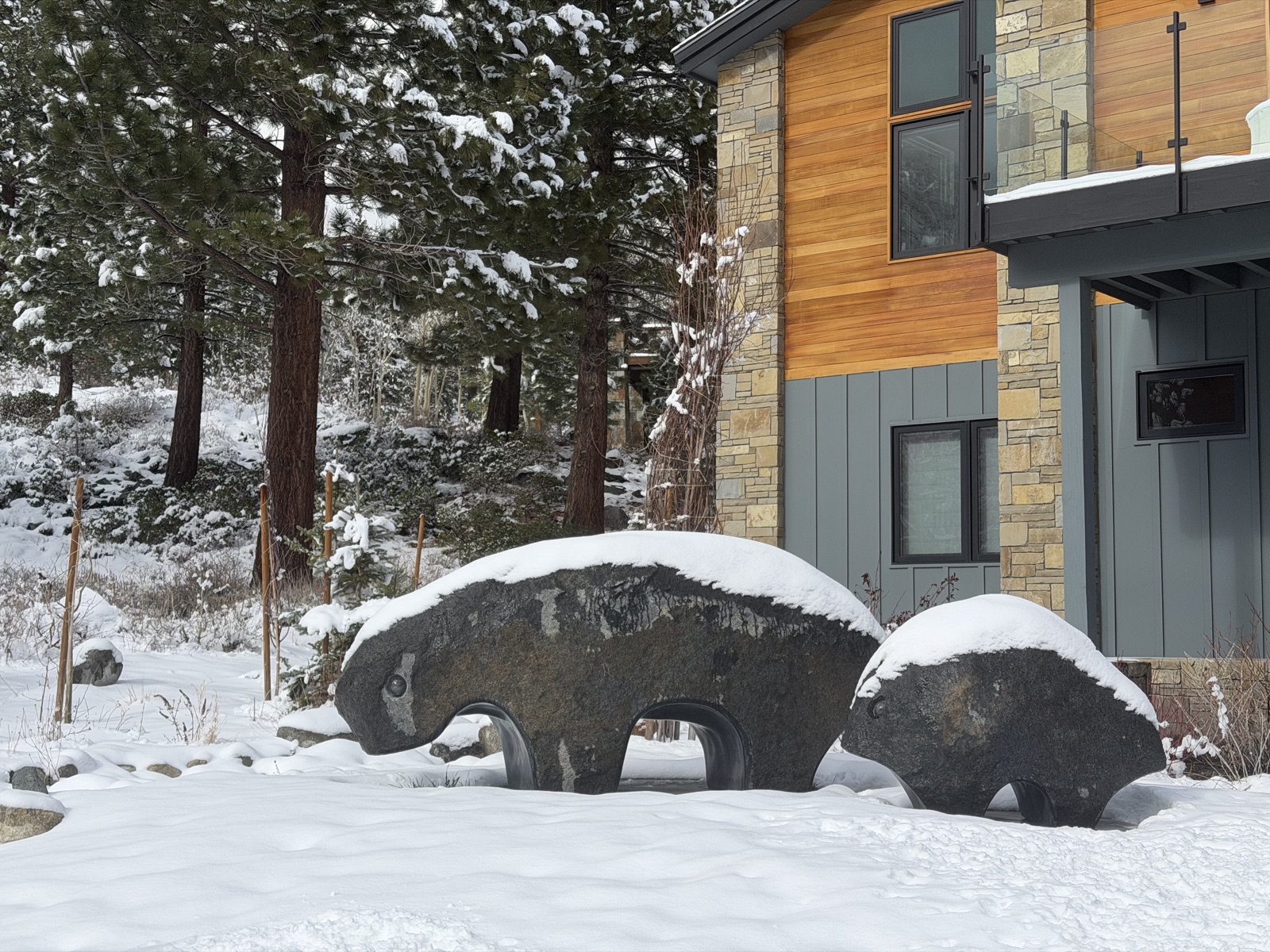 Mountain Creatures — primary view
