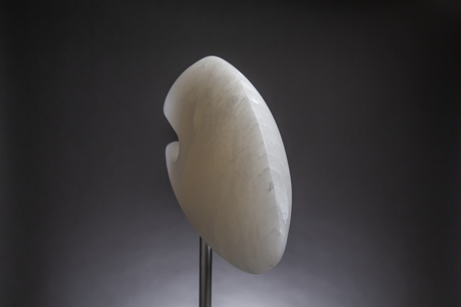 Rising Fish — detail view